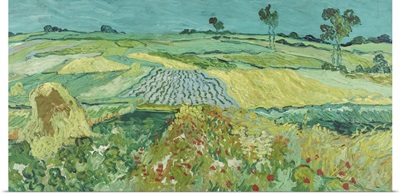 The Plain Near Auvers, 1890