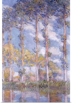 The Poplars, 1881