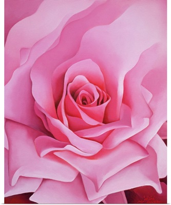 The Rose, 2001