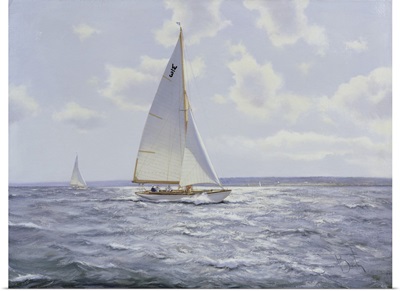 The Shimmering Sea, 2005