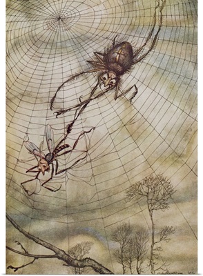 The Spider and the Fly, illustration from Aesop's Fables
