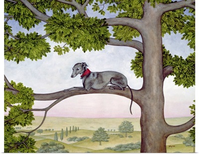 The Tree Whippet