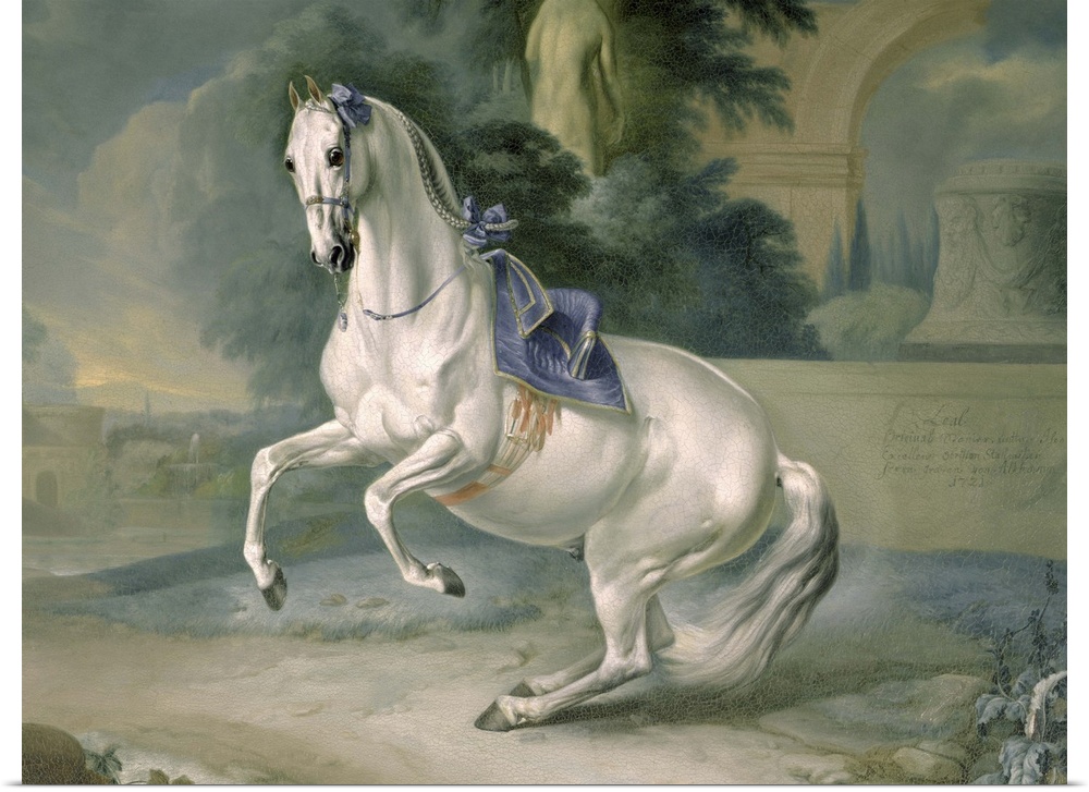 XAM65645 The White Stallion 'Leal' en levade, 1721 (oil on canvas)  by Hamilton, J.G. (1672-1737)