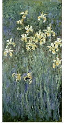The Yellow Irises