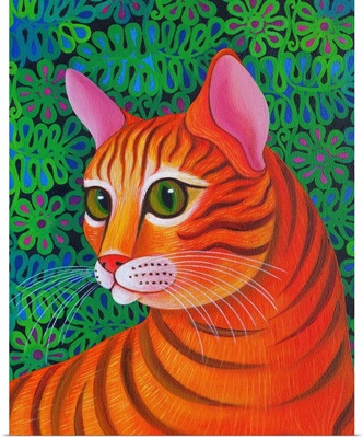 Tiger Cat, 2012