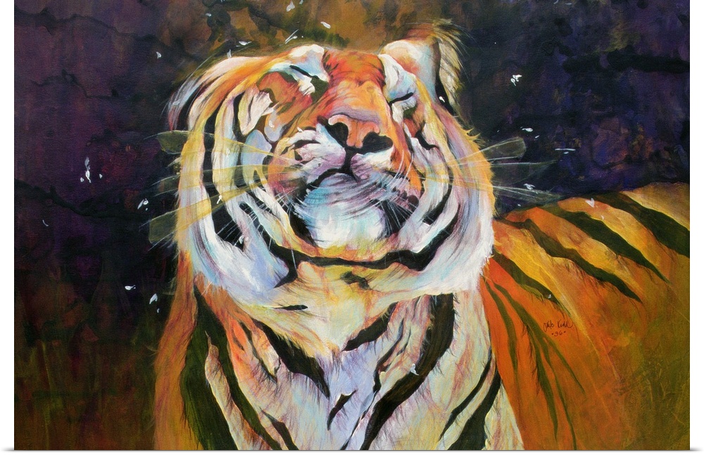 Tiger (Shaking Head) 1996