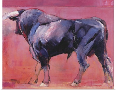 Toro Azul, 1998