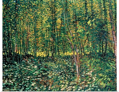 Trees and Undergrowth, 1887