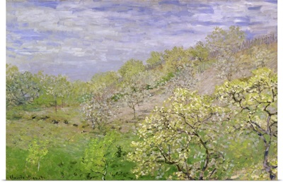Trees In Blossom