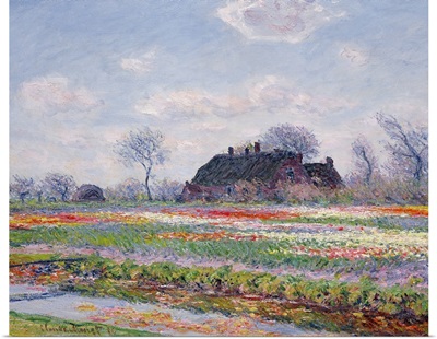 Tulip Fields at Sassenheim, near Leiden, 1886