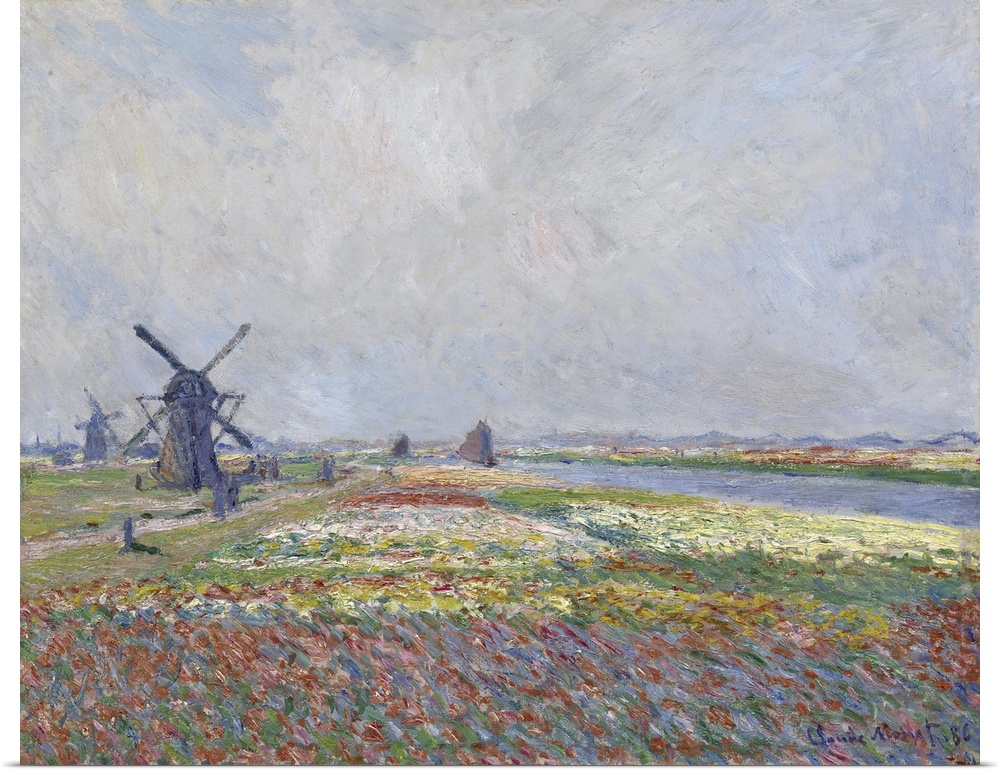 Tulip Fields Near The Hague, 1886