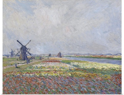 Tulip Fields Near The Hague, 1886