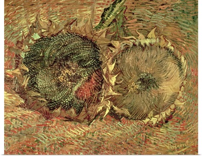 Two Cut Sunflowers, 1887