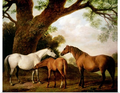 Two Shafto Mares and a Foal, 1774