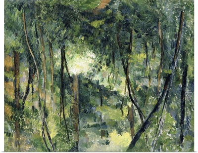 Undergrowth, 1885