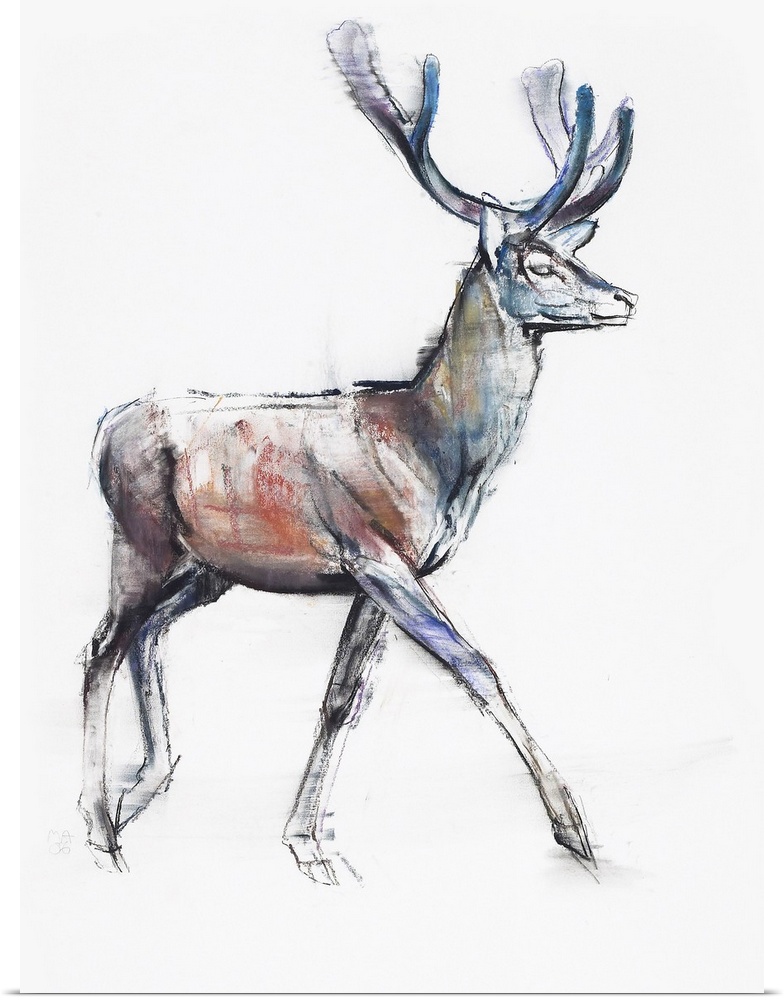 Big drawing on canvas of a deer on a blank backdrop.