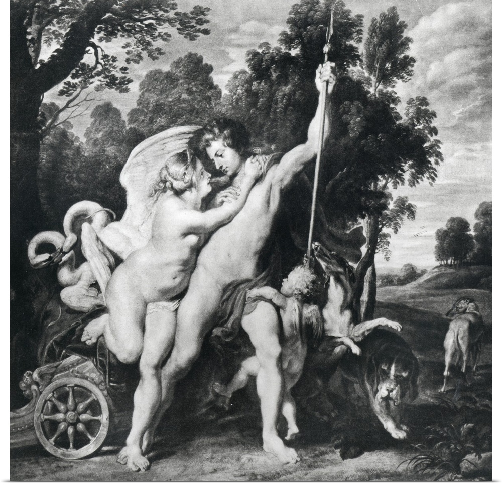 XIR164795 Venus and Adonis (oil on canvas) (b/w photo) by Rubens, Peter Paul (1577-1640); Hermitage, St. Petersburg, Russi...