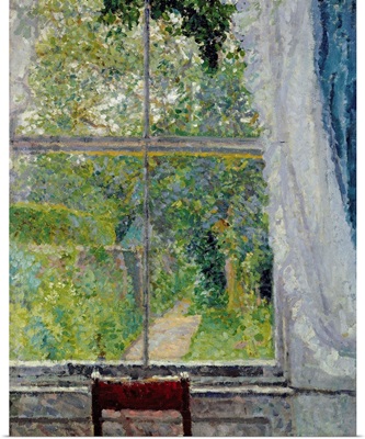 View from a Window