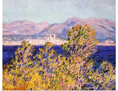 View of the Cap d'Antibes with the Mistral Blowing, 1888