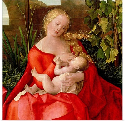 Virgin and Child 'Madonna with the Iris', 1508