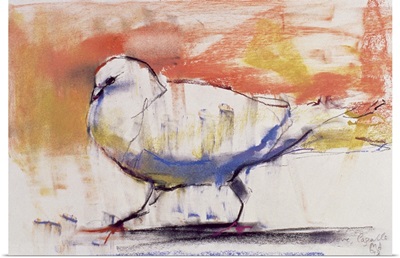 Walking Dove, Trasierra, 1998
