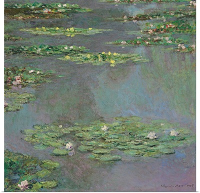 Water Lilies, 1905