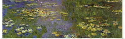Water Lilies, Detail