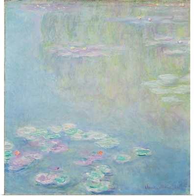 Waterlilies, 1906