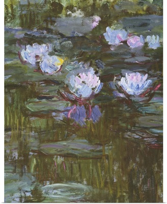 Waterlilies, 1914-17