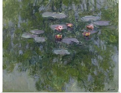Waterlilies, 1916-19