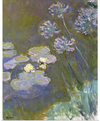 Waterlilies And Agapanthus, 1914-17