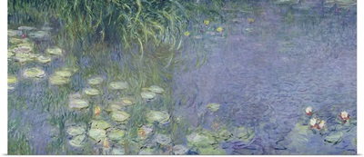 Waterlilies: Morning, 1914 18 (left section)
