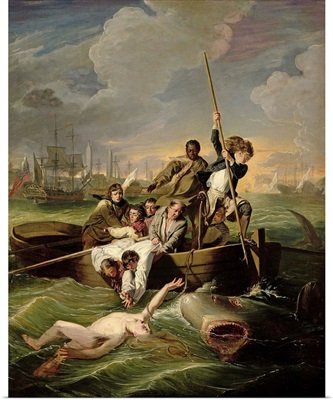 Watson and the Shark, 1782