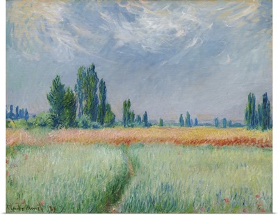 Wheatfield, 1881