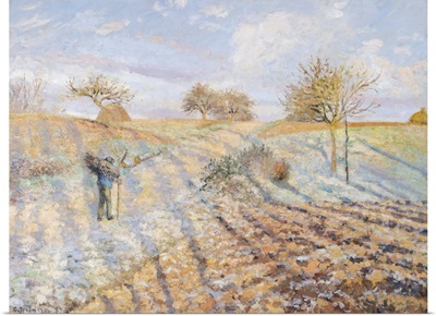 White Frost, 1873