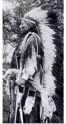 White Wolf, a Comanche Chief, c.1891-98