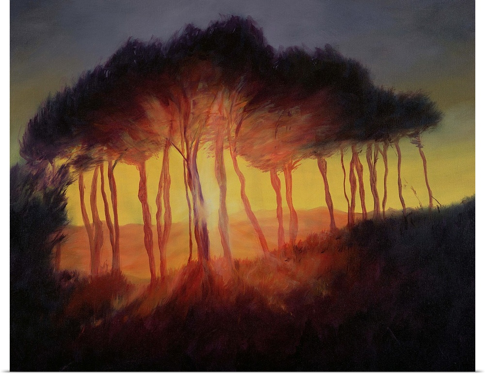 Wild Trees at Sunset, 2002