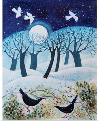 Winter Birds in the Snow, 2019