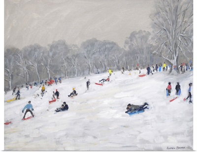 Winter, Darley Park, 2009