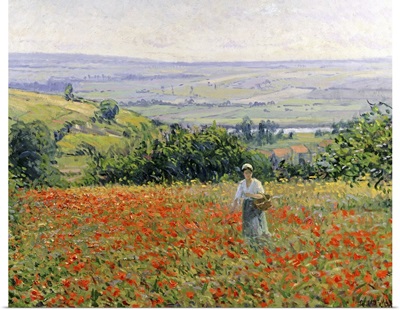 Woman in a Poppy Field