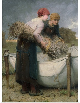 Women in the Field, 1882