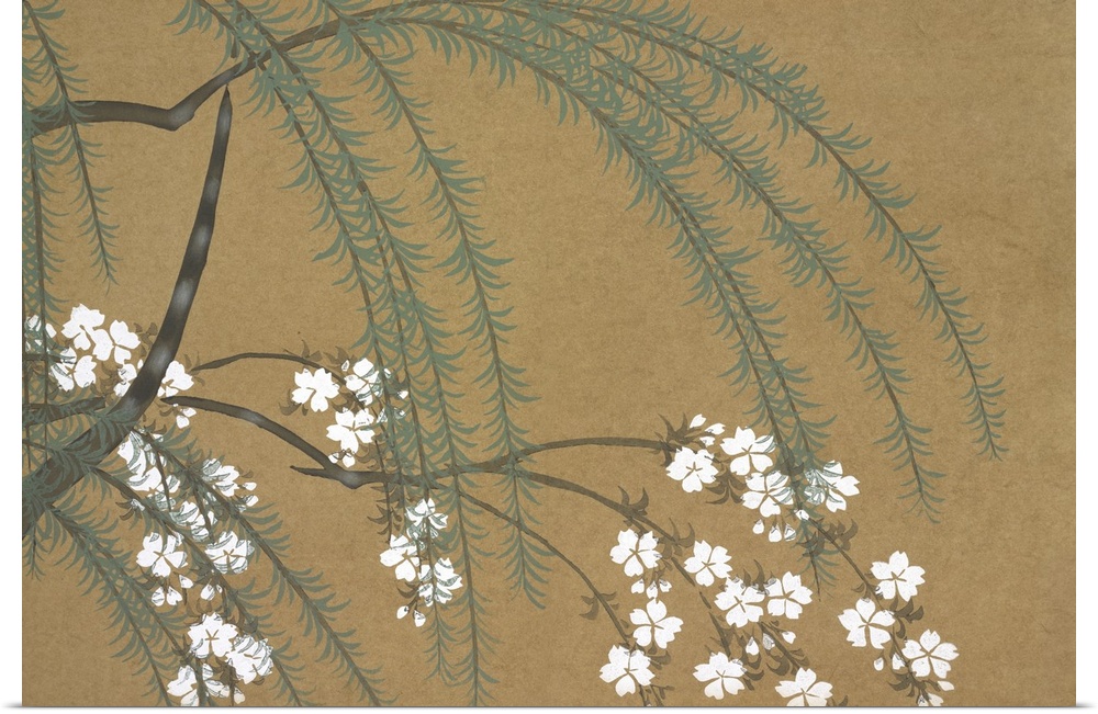 Kamisaka Sekka (1866 - 1942)  A Willow and Cherry Blossoms
