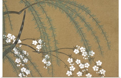 Yanagi Sakura, From Momoyo-Gusa (The World Of Things) Vol II, Pub.1909
