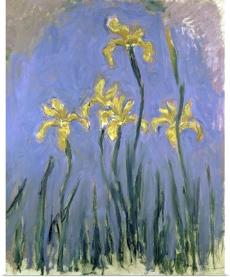 Yellow Irises (Les Iris Jaunes), 1918-1925