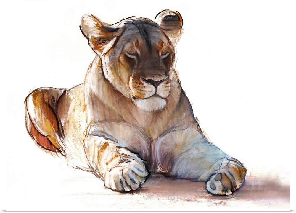 Yogi Lioness, 2019. Originally conte and pastel on paper.