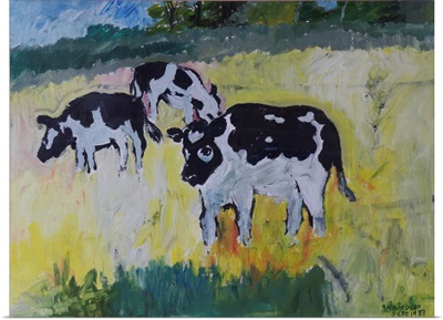 Young Bullocks In A Meadow, 1982