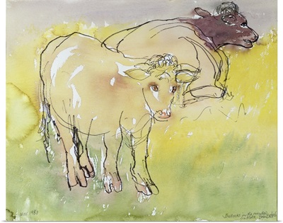 Young Bullocks In The Meadow, 1983