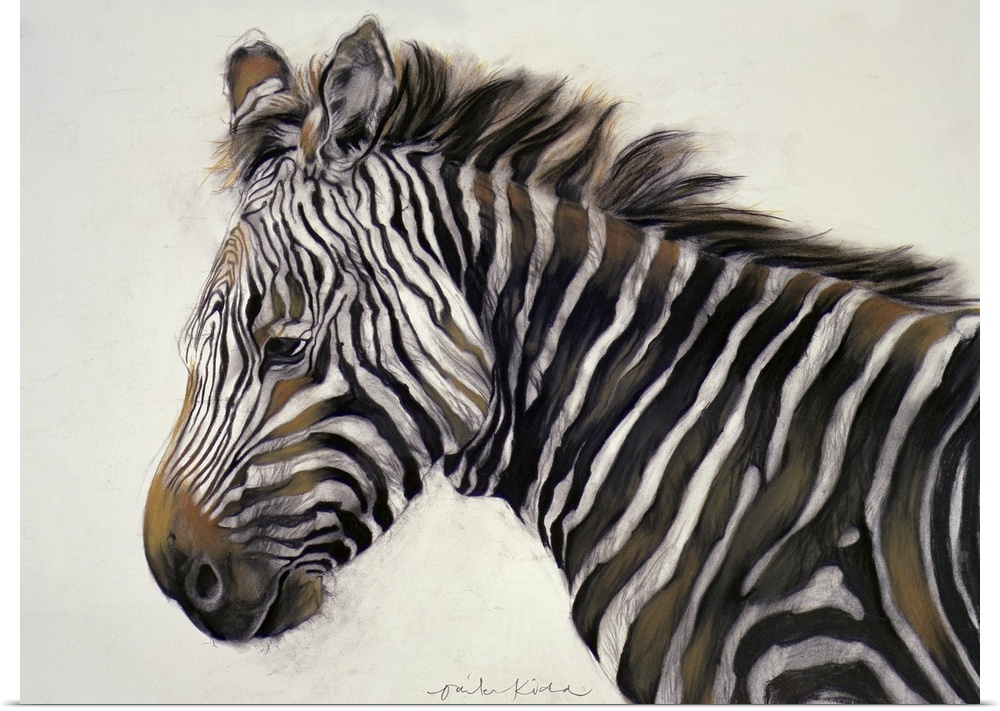 Zebra, 2002