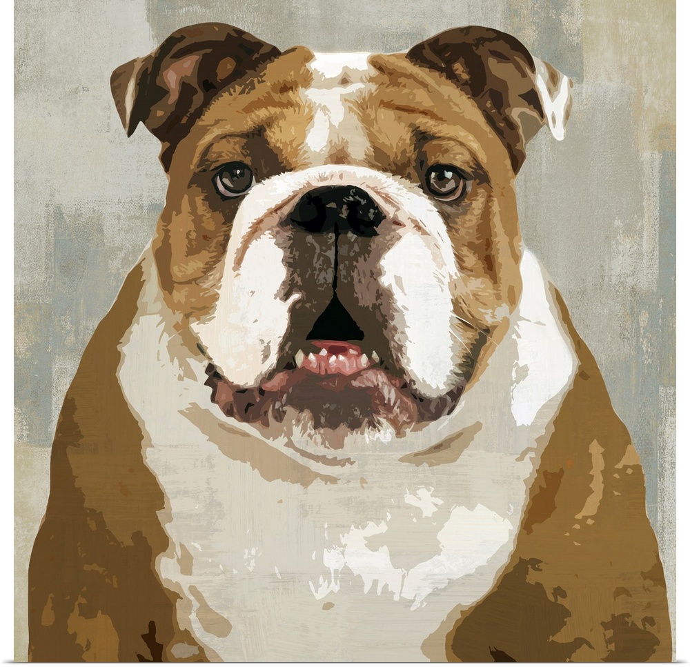 Square decor with a portrait of a Bulldog on a layered gray, blue, and tan background.