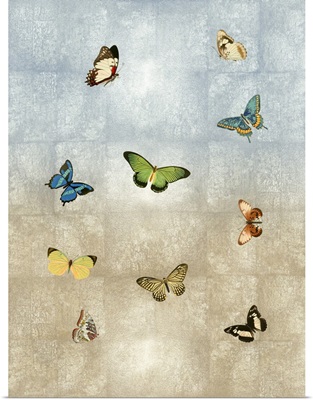 Butterflies Meet Up I